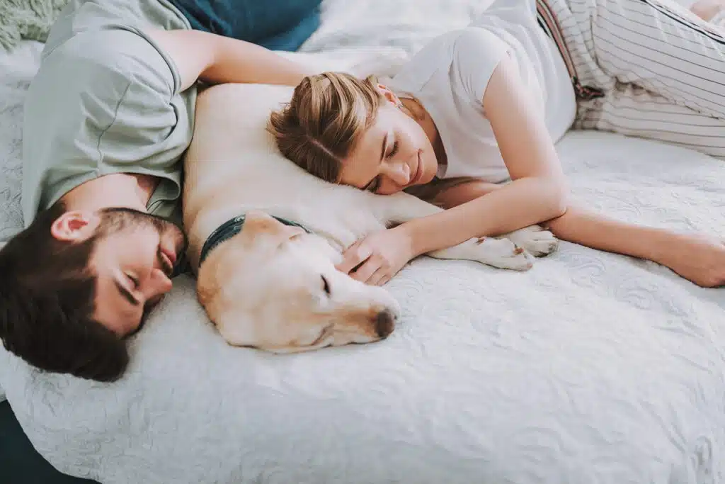 Sleep with your pet