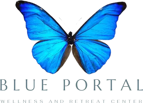 Blueportal logo 1