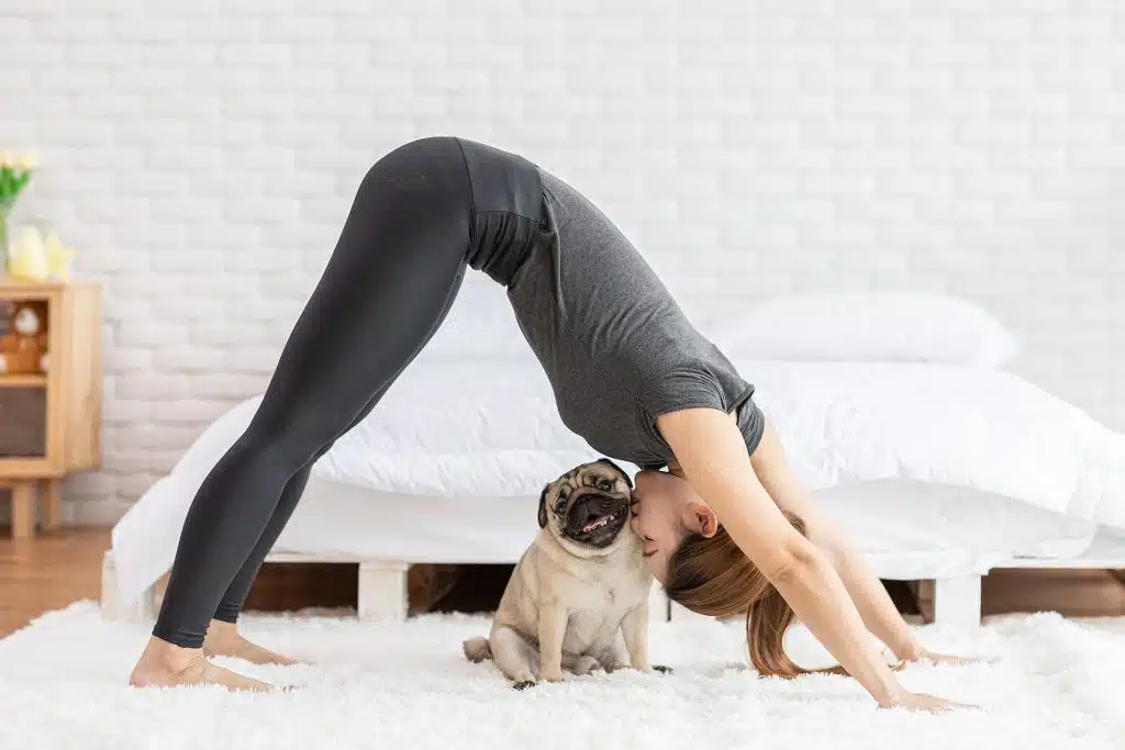 An Asian woman practicing yoga, doing downward-facing dog and kissing her pug.
