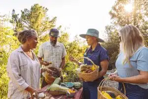 At Alila Ventana Big Sur, guests are invited to enjoy the Harvest Share, a communal experience. Here, four diverse people delight in the harvest.