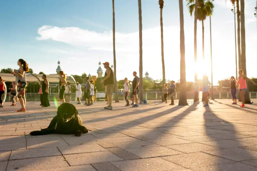 Zumba at Curtis Hixon Waterfront Park