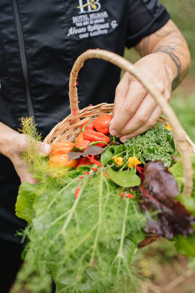 Hotel Belmar Farm to Table to Farm 1