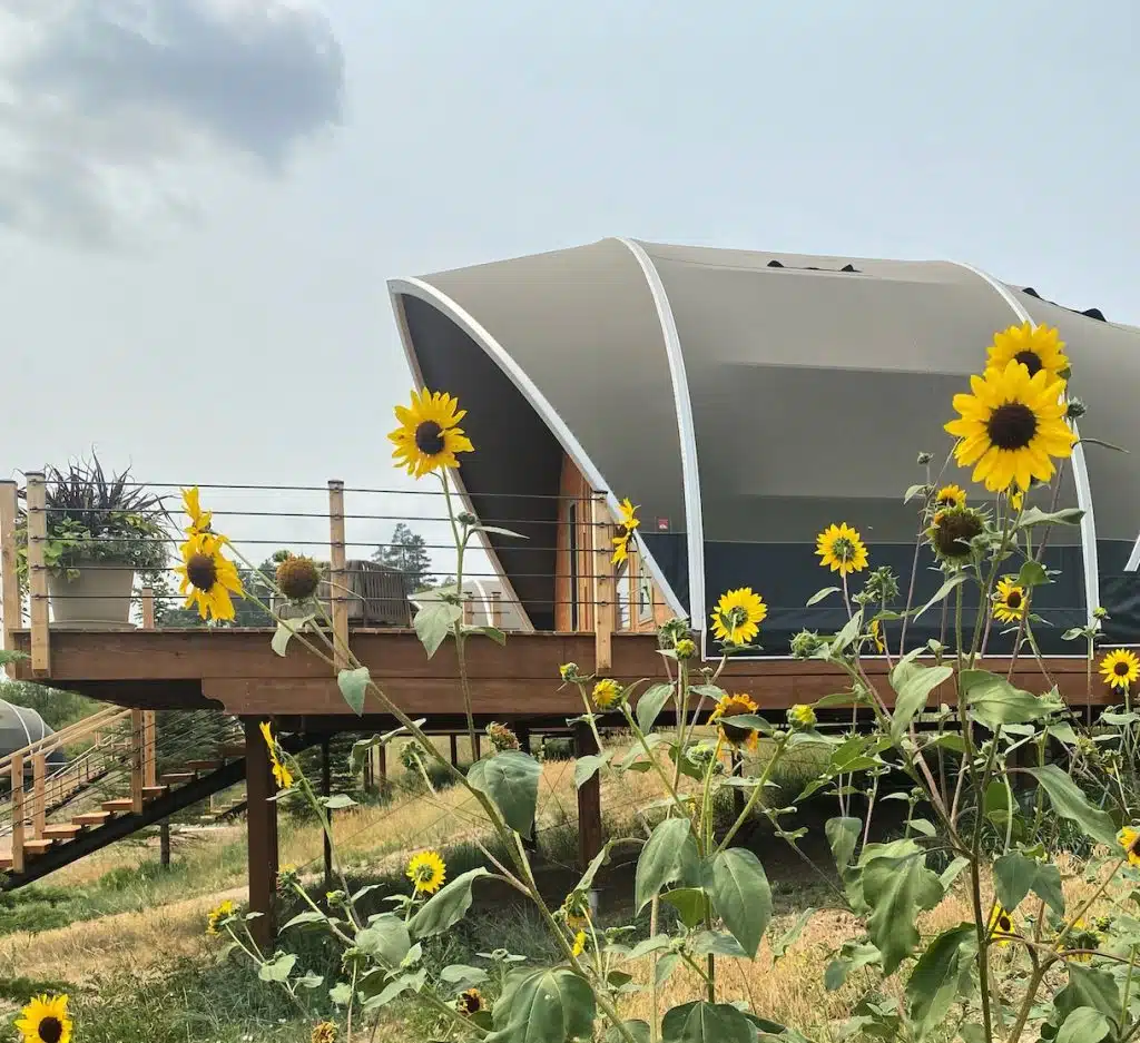 Shortgrass Resort bungalow with sunflowers in the foreground