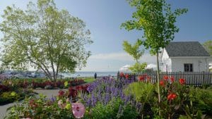 A pollinator garden at The Lakehouse on Canandaigua