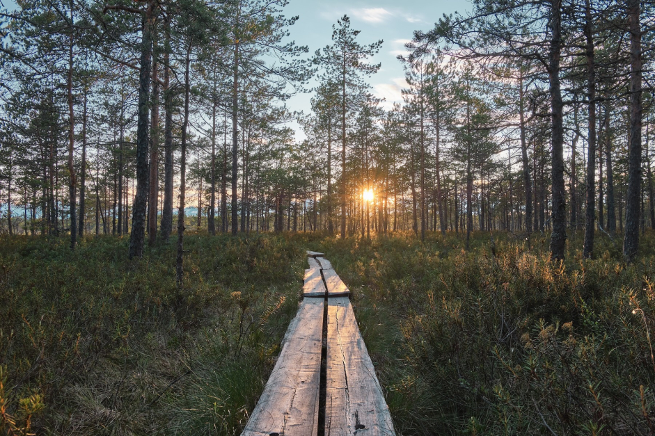 shutterstock 2159680801